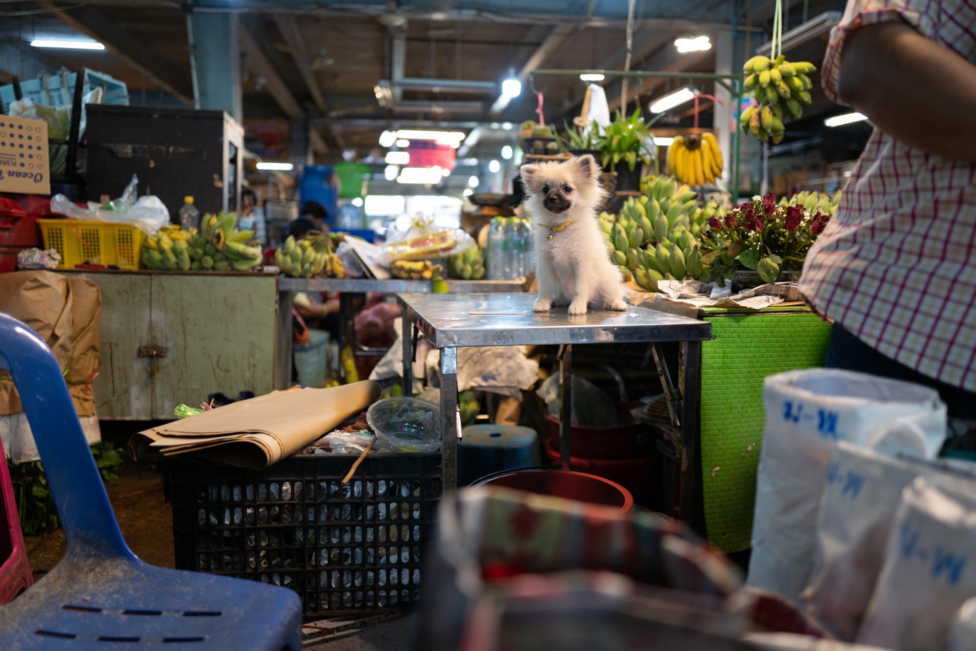 Bangkok-Street photography- travel photos- jose jeualnd-photographer-singapore-france-coco creative studio1